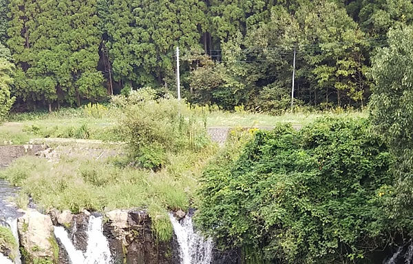 新冠期间的租赁情况